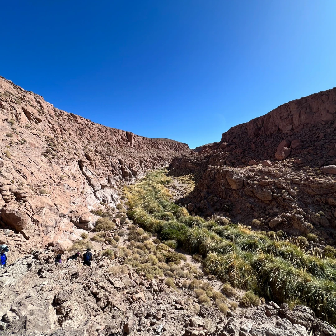 Termas de Puritama (1)